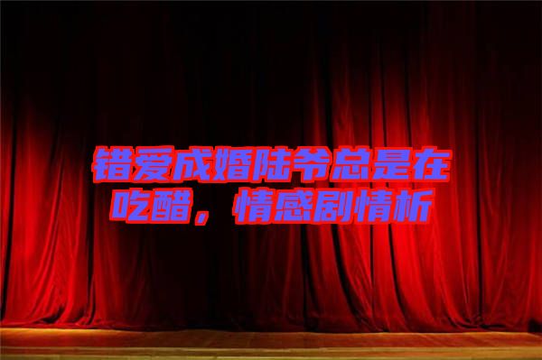 錯愛成婚陸爺總是在吃醋，情感劇情析