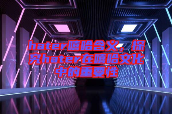hater嘻哈含義，探究hater在嘻哈文化中的重要性