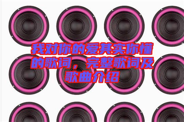 我對你的愛其實你懂的歌詞，完整歌詞及歌曲介紹
