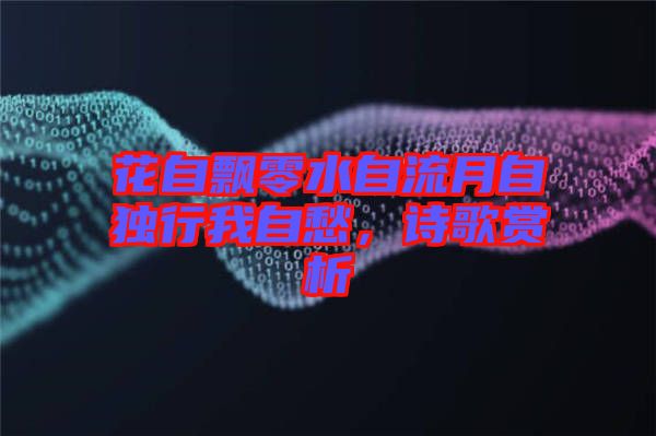 花自飄零水自流月自獨行我自愁，詩歌賞析