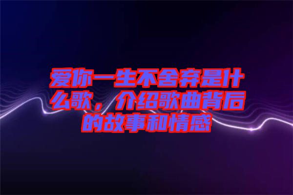 愛你一生不舍棄是什么歌，介紹歌曲背后的故事和情感