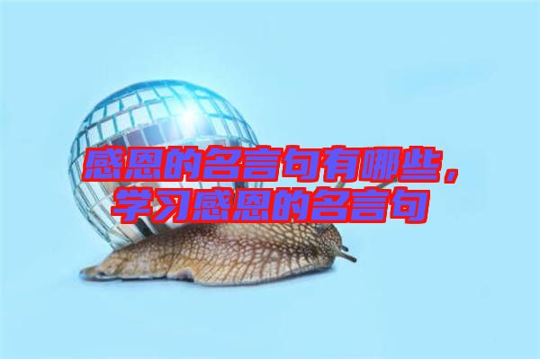 感恩的名言句有哪些，學習感恩的名言句