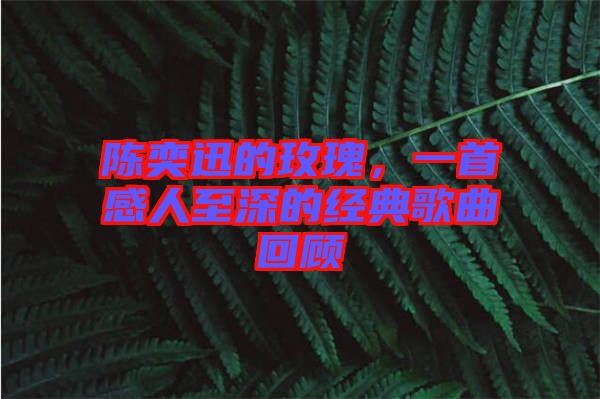陳奕迅的玫瑰，一首感人至深的經(jīng)典歌曲回顧