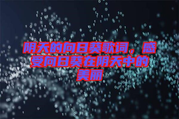 陰天的向日葵歌詞，感受向日葵在陰天中的美麗