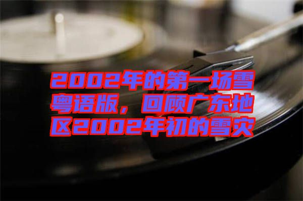 2002年的第一場雪粵語版，回顧廣東地區(qū)2002年初的雪災(zāi)