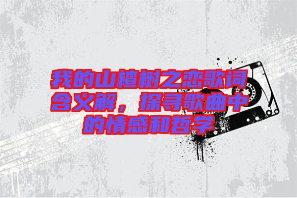 我的山楂樹之戀歌詞含義解，探尋歌曲中的情感和哲學
