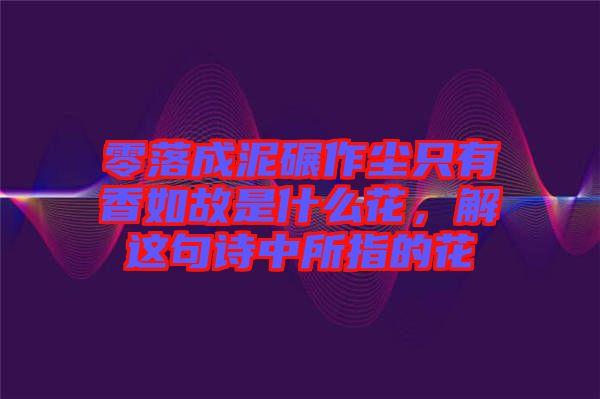 零落成泥碾作塵只有香如故是什么花，解這句詩(shī)中所指的花