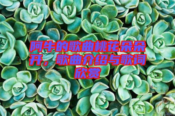 阿牛的歌曲桃花朵朵開(kāi)，歌曲介紹與歌詞欣賞