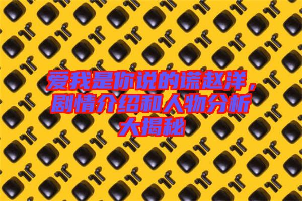 愛我是你說的謊趙洋，劇情介紹和人物分析大揭秘