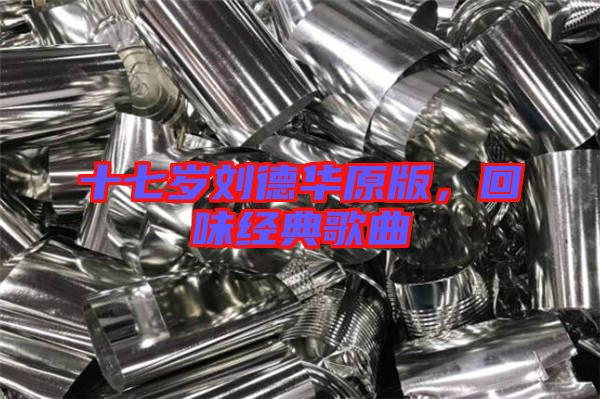 十七歲劉德華原版，回味經(jīng)典歌曲