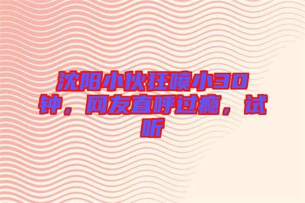 沈陽(yáng)小伙狂噴小30鐘，網(wǎng)友直呼過(guò)癮，試聽(tīng)