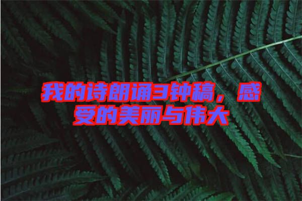 我的詩(shī)朗誦3鐘稿，感受的美麗與偉大