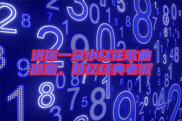 送你一朵小紅花歌曲原唱，回憶經(jīng)典老歌