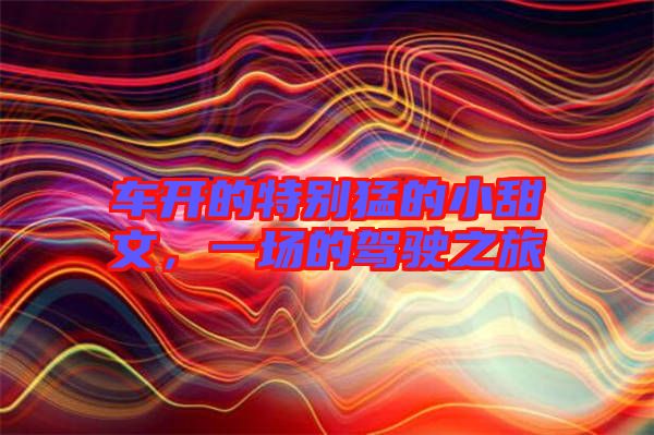 車開的特別猛的小甜文，一場的駕駛之旅