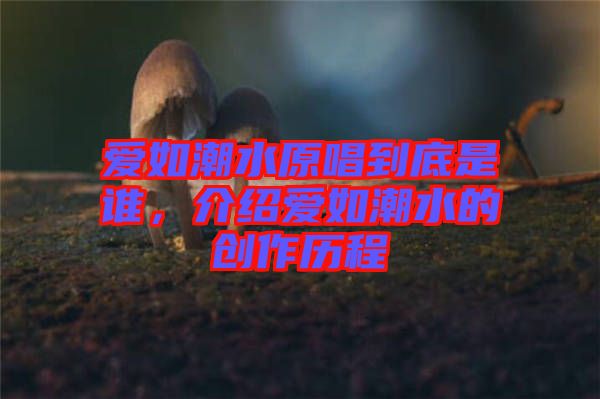 愛如潮水原唱到底是誰，介紹愛如潮水的創(chuàng)作歷程