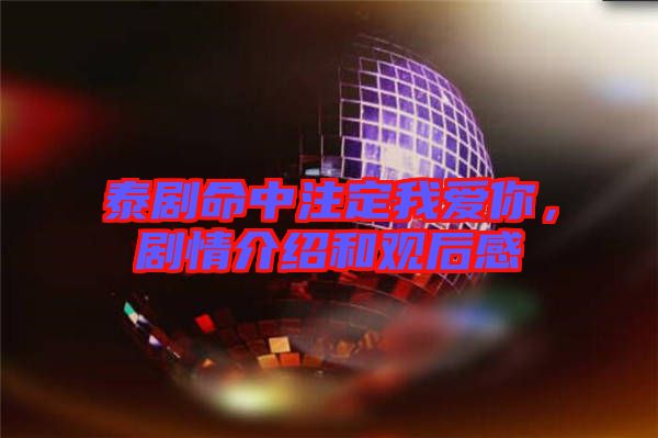 泰劇命中注定我愛你，劇情介紹和觀后感