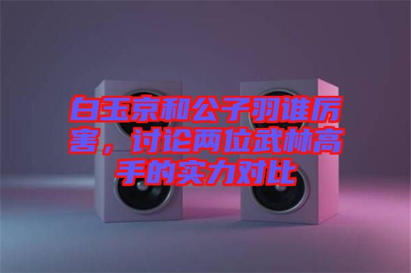白玉京和公子羽誰厲害，討論兩位武林高手的實(shí)力對比