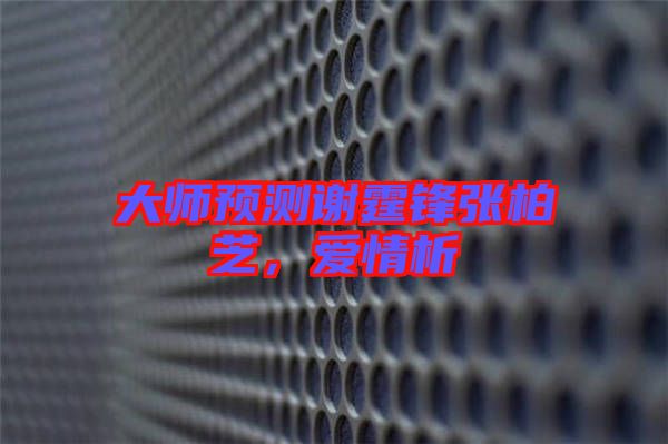 大師預(yù)測(cè)謝霆鋒張柏芝，愛情析