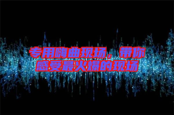 專用嗨曲現(xiàn)場(chǎng)，帶你感受最火爆的現(xiàn)場(chǎng)