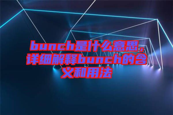 bunch是什么意思，詳細(xì)解釋bunch的含義和用法