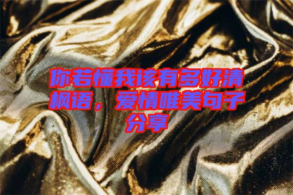 你若懂我該有多好清楓語(yǔ)，愛(ài)情唯美句子分享