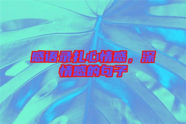 感語(yǔ)錄扎心情感，深情感的句子