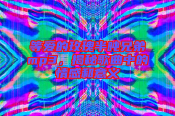 等愛(ài)的玫瑰半噸兄弟mp3，揭秘歌曲中的情感和意義