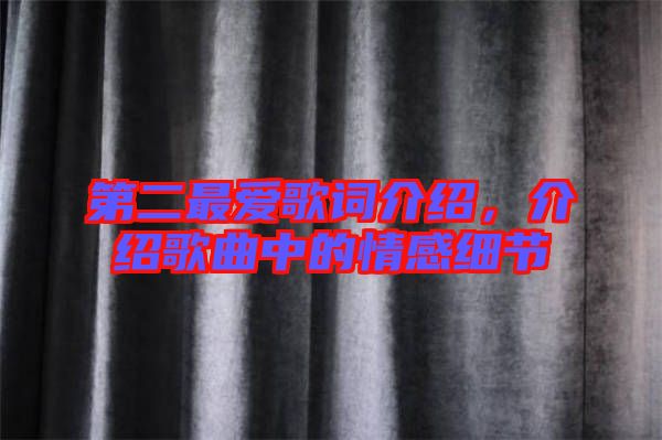 第二最愛歌詞介紹，介紹歌曲中的情感細節(jié)