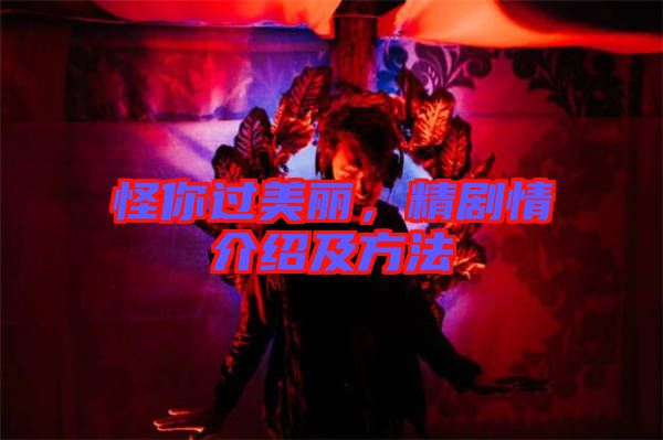 怪你過美麗，精劇情介紹及方法