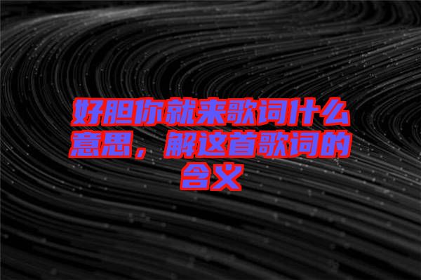 好膽你就來歌詞什么意思，解這首歌詞的含義
