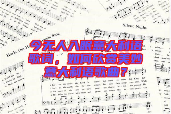 今無人入眠意大利語歌詞，如何欣賞美妙意大利語歌曲？