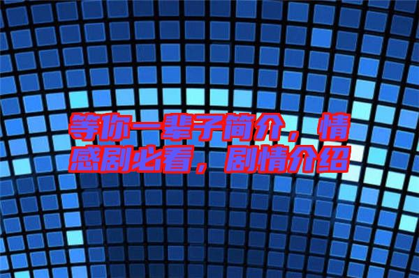 等你一輩子簡介，情感劇必看，劇情介紹