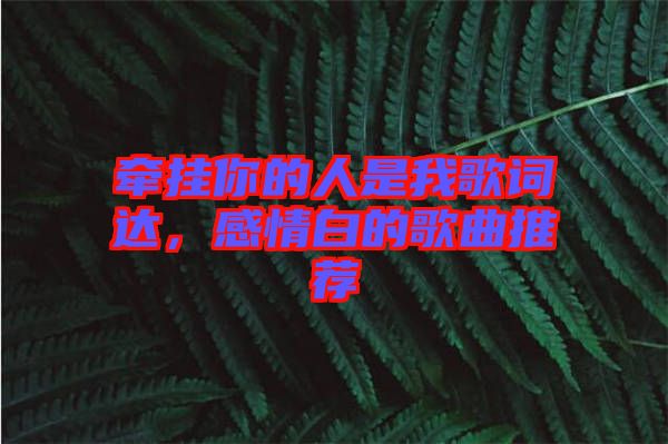 牽掛你的人是我歌詞達(dá)，感情白的歌曲推薦