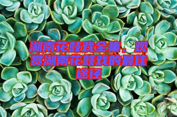湖南花鼓戲全集，觀賞湖南花鼓戲的最佳途徑