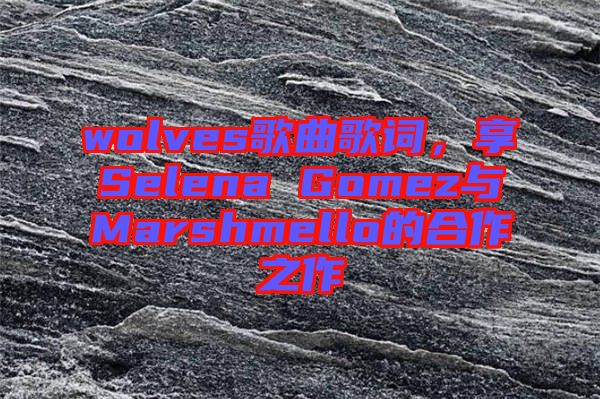 wolves歌曲歌詞，享Selena Gomez與Marshmello的合作之作