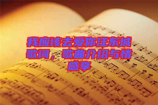 我應(yīng)該去愛(ài)你汪東城歌詞，歌曲介紹與情感享