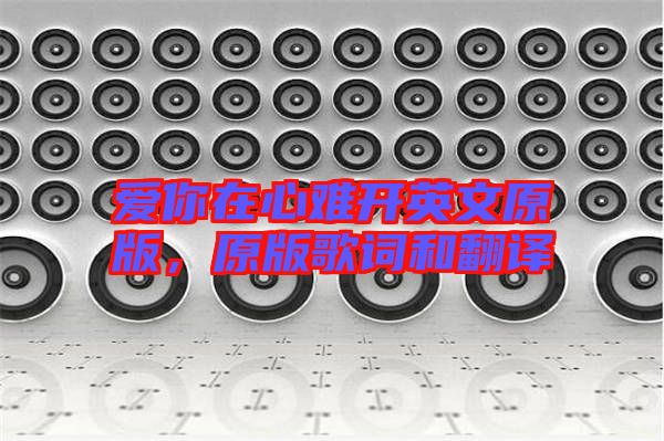 愛你在心難開英文原版，原版歌詞和翻譯