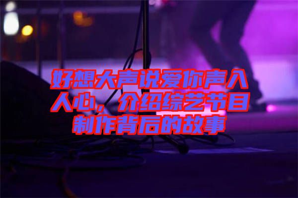 好想大聲說愛你聲入人心，介紹綜藝節(jié)目制作背后的故事