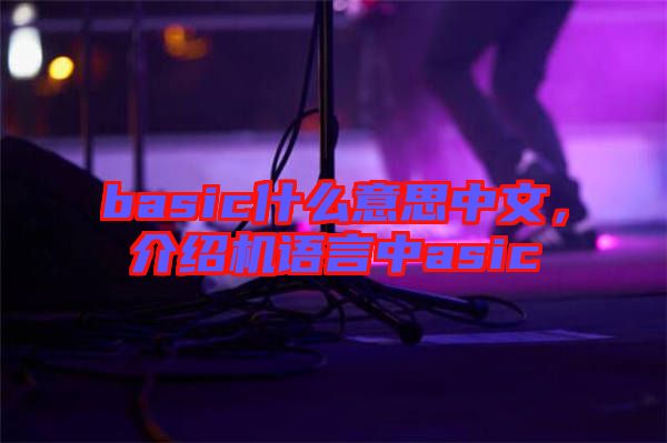 basic什么意思中文，介紹機語言中asic