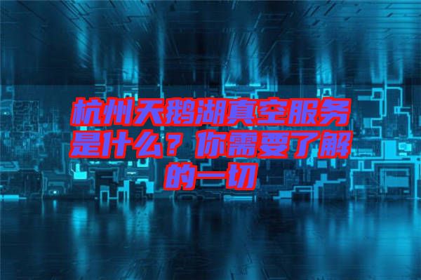 杭州天鵝湖真空服務是什么？你需要了解的一切