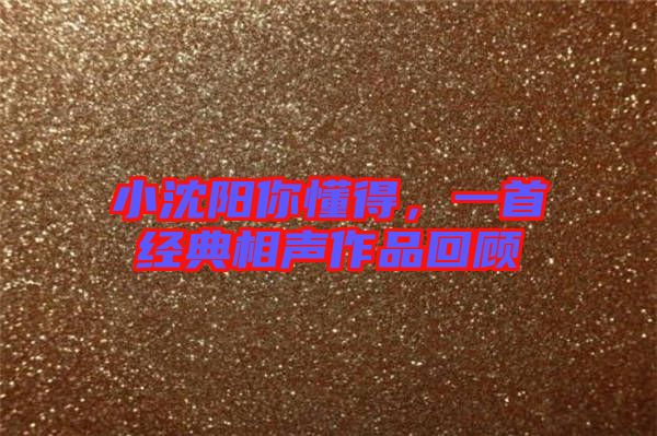 小沈陽你懂得，一首經(jīng)典相聲作品回顧