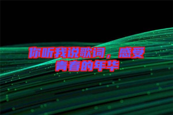 你聽(tīng)我說(shuō)歌詞，感受青春的年華