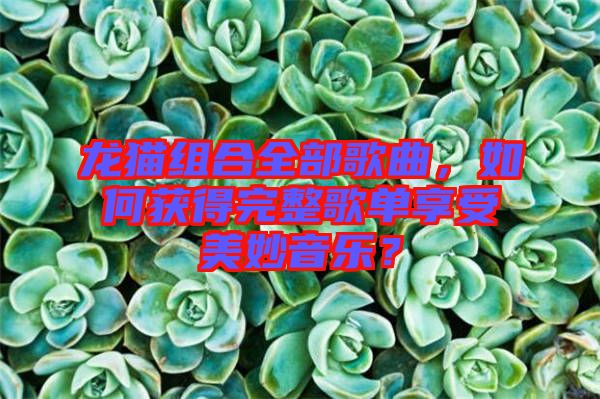 龍貓組合全部歌曲，如何獲得完整歌單享受美妙音樂(lè)？