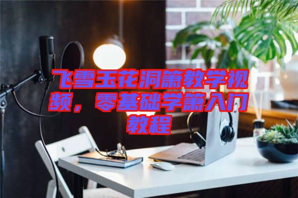 飛雪玉花洞簫教學視頻，零基礎學簫入門教程