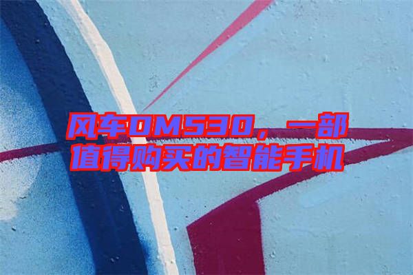風(fēng)車DM530，一部值得購買的智能手機(jī)