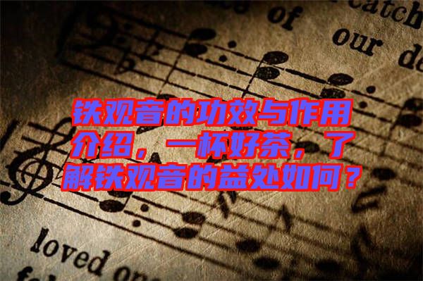 鐵觀音的功效與作用介紹，一杯好茶，了解鐵觀音的益處如何？