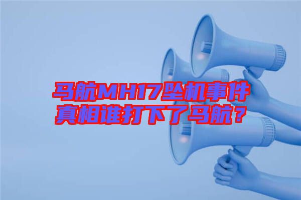 馬航MH17墜機(jī)事件真相誰打下了馬航？