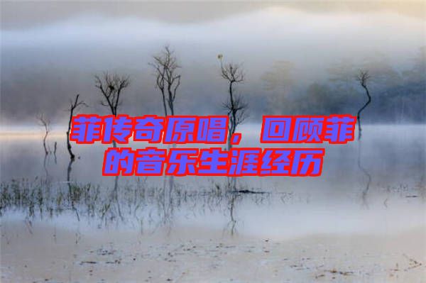 菲傳奇原唱，回顧菲的音樂生涯經(jīng)歷
