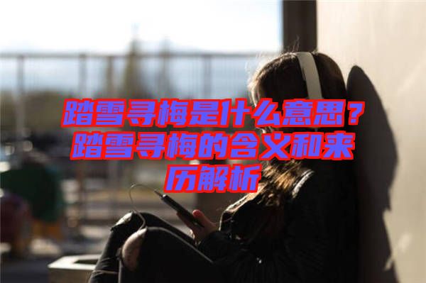 踏雪尋梅是什么意思？踏雪尋梅的含義和來(lái)歷解析