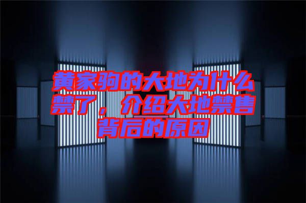黃家駒的大地為什么禁了，介紹大地禁售背后的原因